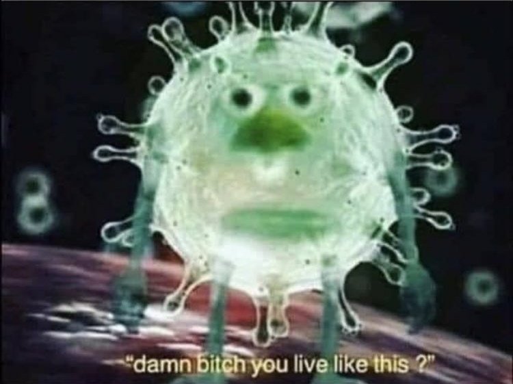 Corona entering my body and seeing years of exposure to Ivomec, hydraulic oil, Diesel, burnt twine and Roundup.