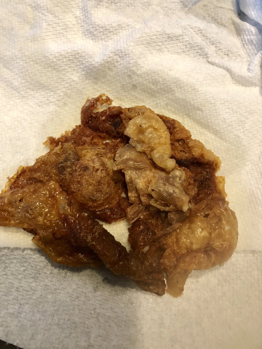 WildKinesiology's tweet photo. #crispychickenskin https://t.co/5GbwlqM8RL