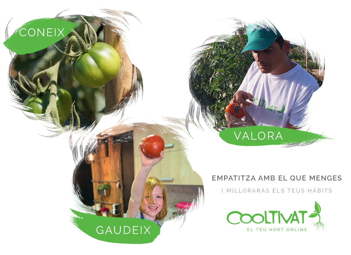 💚 Cultiva-t'ho tu, millora els teus hàbits 💚

1️⃣ CONEIX el que menges 🍅🥬

2️⃣ VALORA. Al conèixer, apreciaràs molt més el producte que rebràs a casa.

3️⃣ GAUDEIX de tot l'esforç dels productes de l'hort.  👩‍🌾

👇 T'hi sumes? 👇
 bit.ly/2PWpiQv