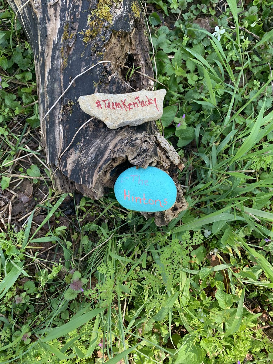 kwunderlin's tweet photo. Just happened this on the Boone Trail #broadrunpark  #parklands #TeamKentucky Had the trail to ourselves... what a lovely way to restore personal peace https://t.co/5fqgQBbmko