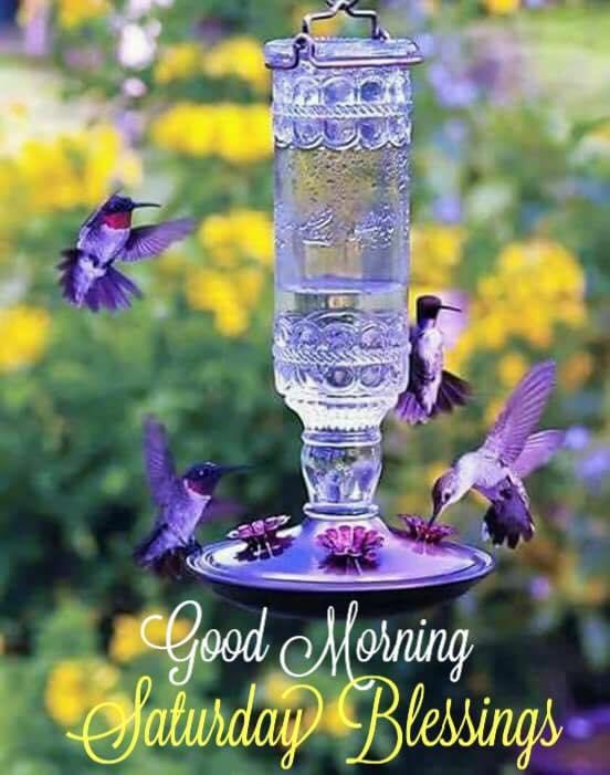 Saw this picture this morning and thought of My Mom, she loved Hummingbirds. 
So with all that is going on we just wanted make sure Y’All are still Smiling.