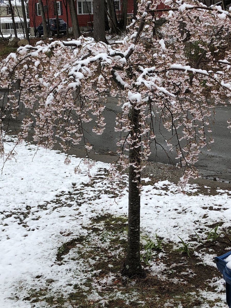 pam Leite tweet media