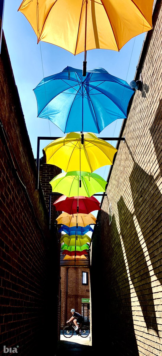 We are surrounded by colour, light &amp; all things amazing. Sometimes we have to ride alone to see them.
.
Embrace the situation that we find ourselves in. Yes, we have to ride alone, but that’s not always a bad thing. .
Share with us your favourite thing about riding alone.