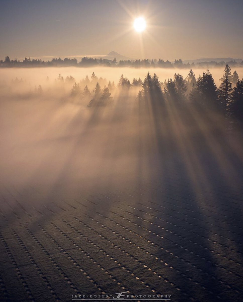 inMtHood's tweet photo. With Mt. Hood far out in the distance and stunning rays of sun beaming over the trees, this shot by @jakeegbert is pretty rad! #omht https://t.co/xTTjwA7bcX