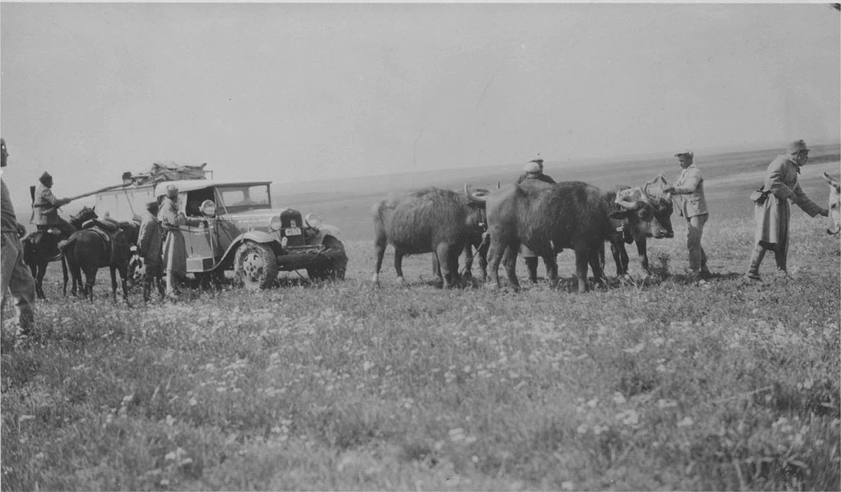 Normally, on our  @Martin_Randall tour, we'd be taking a plane to Amman (remember those?), but in the past getting to Jordan was much more difficult (archive photos from  @PalExFund) We'll start our tour properly tomorrow, so get a good night's sleep, you're going to need it!