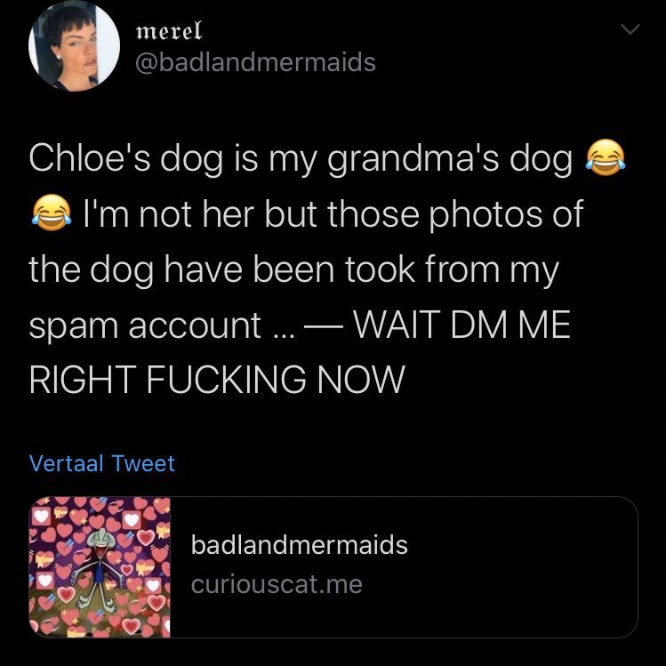 ok hold up so i got this curiouscat about the dog pictures.... and this is all legit but how what when what now