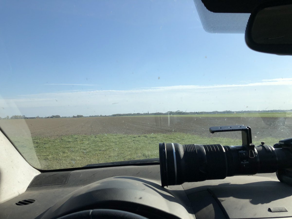 demanopdedijk's tweet photo. Dik een uur gewacht om een luie en zowaar volwassen vrouwtje ruigpootbuizerd op te zien vliegen (met dank aan maaiende boer). In de tussentijd ook een wijfje grauwe kiek en jagend smelleken. #Drieborg https://t.co/HmKvHNlrVM