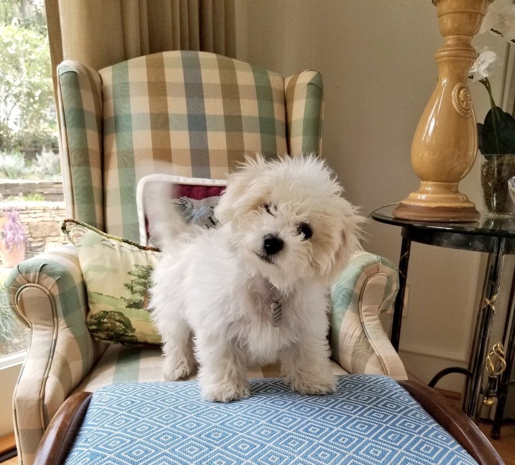 I don't have a SoundCloud or anything so here's just some pics of Rosie.