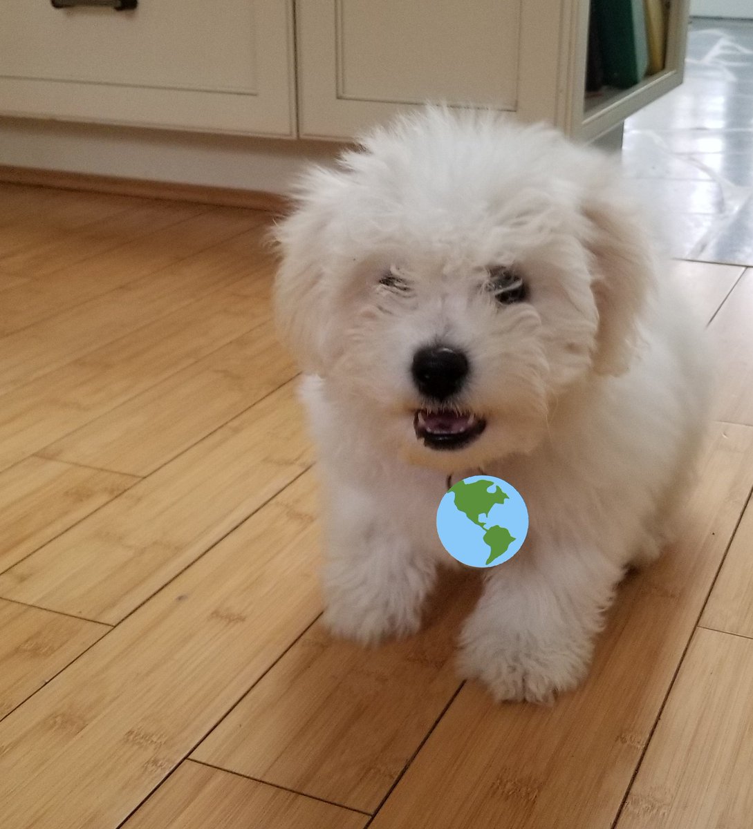 I don't have a SoundCloud or anything so here's just some pics of Rosie.