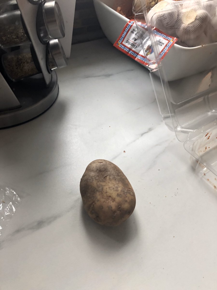 malerbud's tweet photo. I did two tabs of acid yesterday and I guess These 2 vague photos are the only thing I have to show for it https://t.co/k1pN5mFnVM