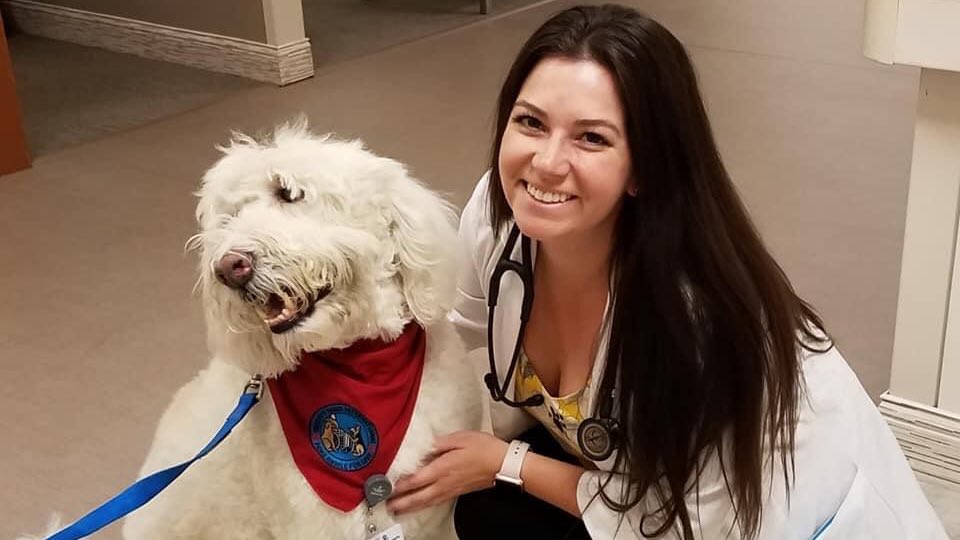 We are proud of our NDA Staff who are on the front lines right now — we are all in this together, including our furry friends! ❤️🐶 Learn more about NDA Kassie and other Varsity Staff that are taking on this challenge first hand. #VarsitySpiritCares

varsity.com/about/varsity-…