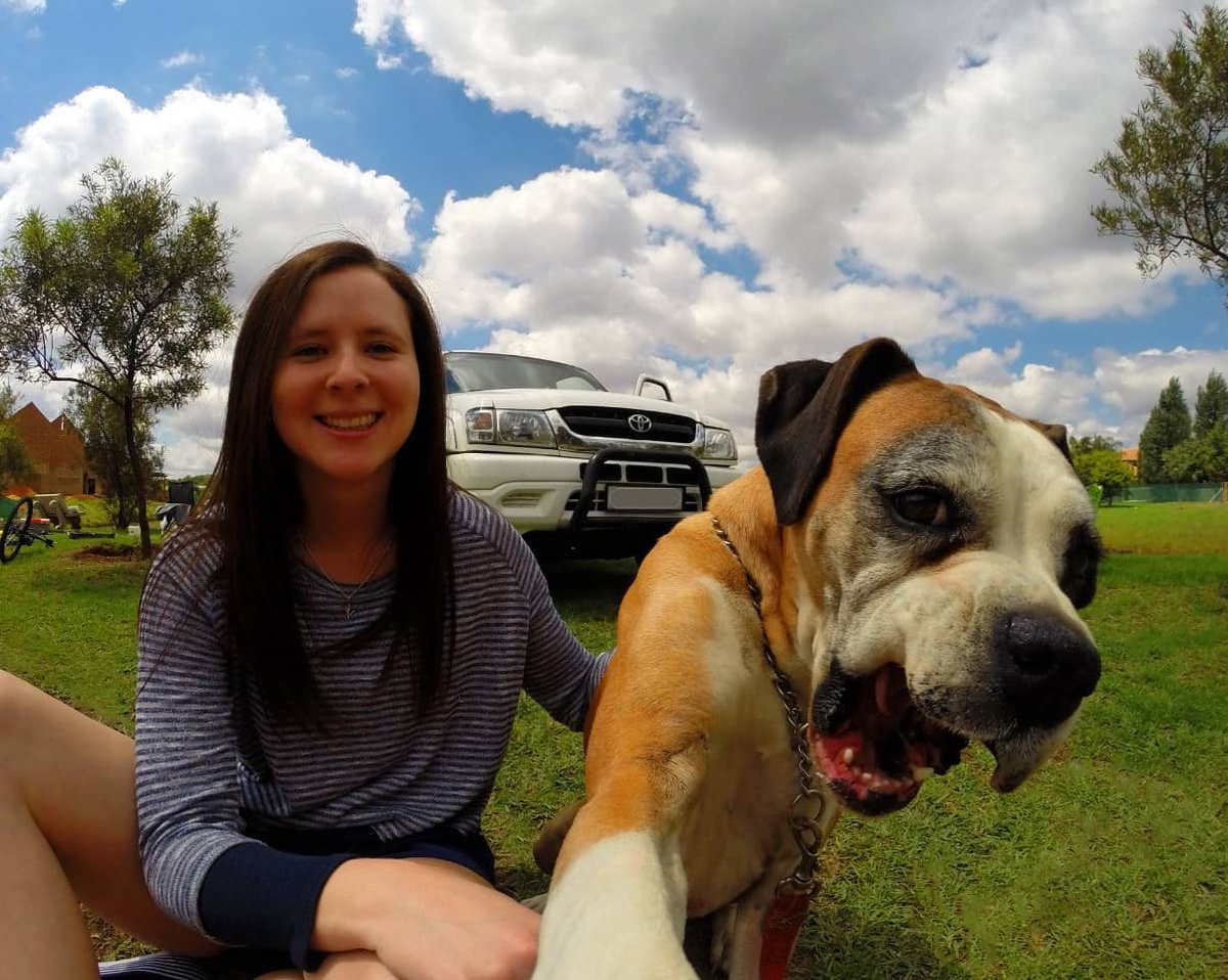 VHaycock's tweet photo. Bella takes the best selfies! #WinAnyCar #Carfie #Dogfie @AutoTraderSA https://t.co/W7cjRbiteo