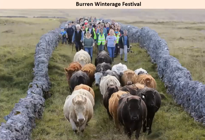 john thackara 约翰·萨卡拉 tweet media