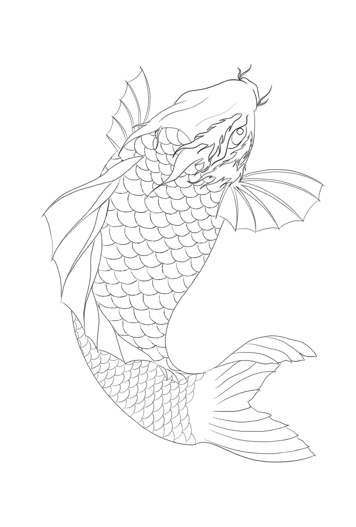 化け鯉 完成 デジタルイラスト 化け鯉 下絵 化け鯉 完成 デジタルイラスト 化け鯉 下絵