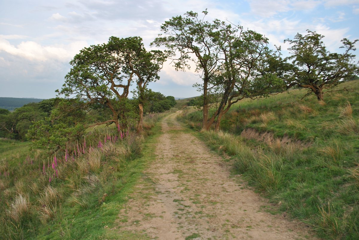 The old railway track along the western side of Stocks Reservoir.
#StocksReservoir #Forestofbowland #gisburnforest #Lancashire