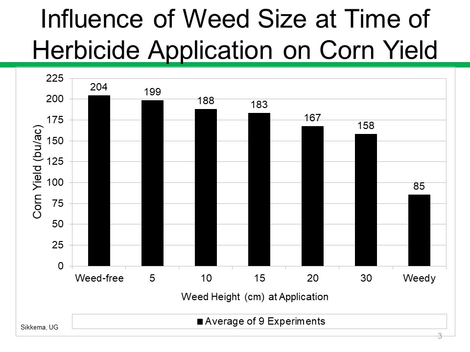 Based on 9 trials conducted in Ontario (2017-19), corn yield was reduced 5, 16, 21, 37, and 46 bu/ac when weeds were 2, 4, 6, 8, and 12 inches tall at time of first herbicide application, respectively.
