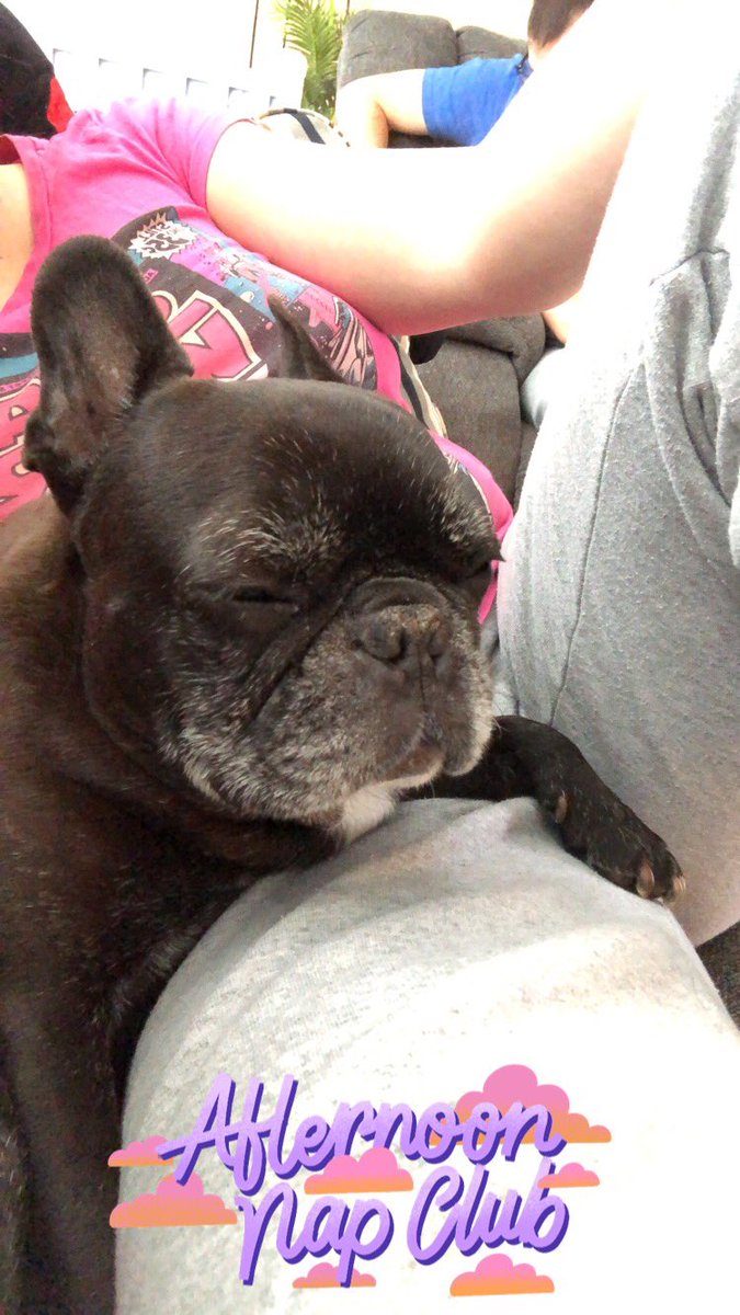 _Pierre21's tweet image. Relaxing with mama.