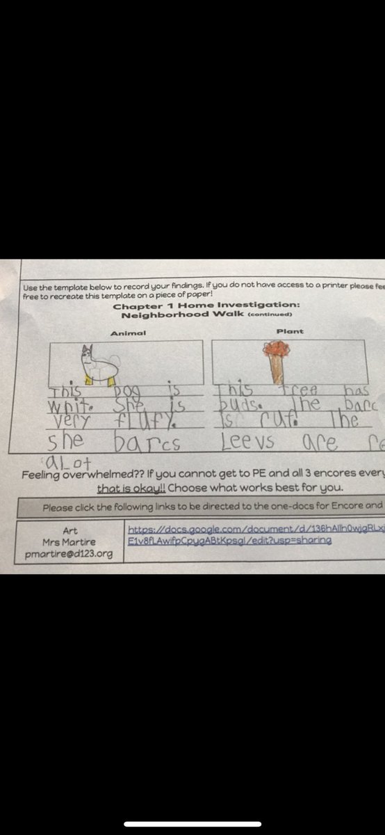 Denise Kangas tweet media