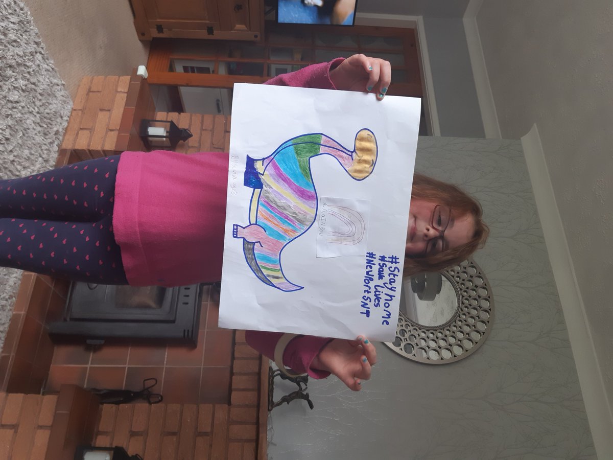 cheboshazz's tweet photo. Scarletts finished hers they are both up in the window on St Andrews way 🦖🌈 #stayhome🏠 #savelives #SNT https://t.co/EUuL0QPYEM