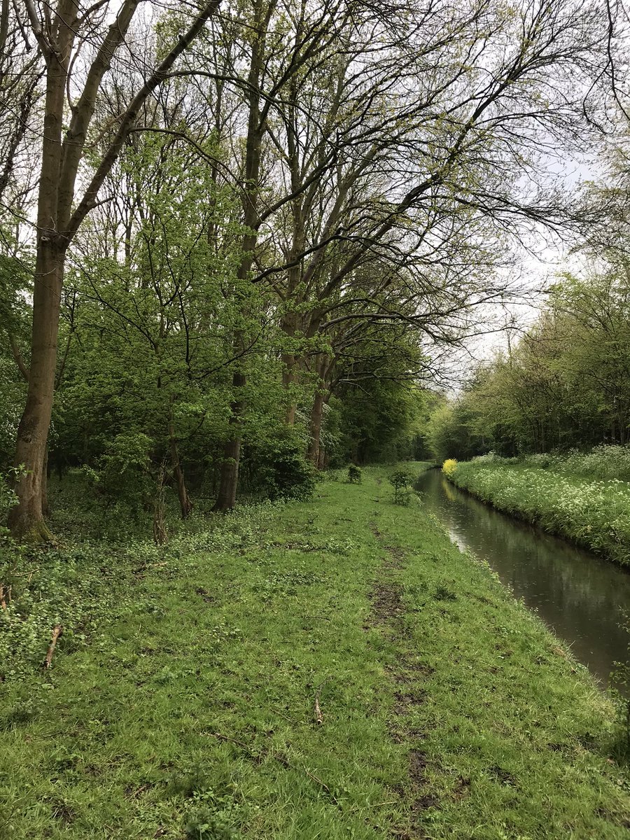 hartelparkSpijk's tweet photo. #Hartelpark #spijkenisse #Nissewaard #Natuur #groenebuffer https://t.co/nKeUlMmXJm