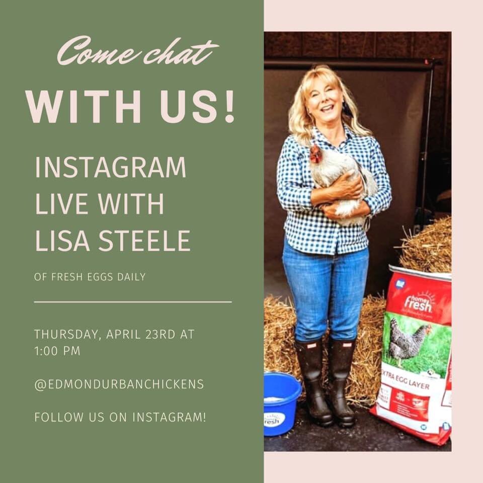 EdmondChickens's tweet photo. Don’t forget to join us for Instagram live (@edmondurbanchickens) on Thursday with @FreshEggsDaily !!! https://t.co/pKubnyR6lU