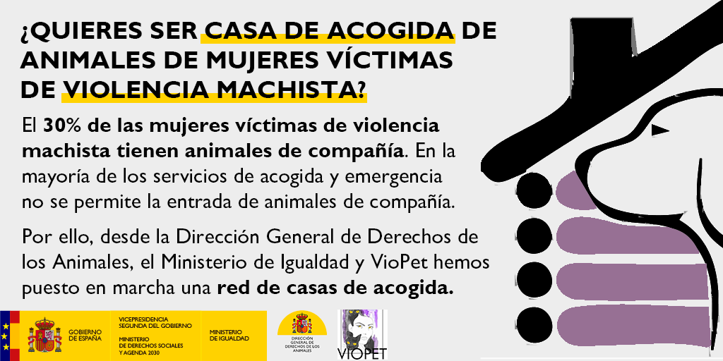 AnimalesGob's tweet photo. El 30% de las mujeres víctimas de violencia machista tienen animales de compañía. 🐕‍🦺

🐈 Por ello, desde @AnimalesGob y @VioPet112 estamos creando una red de espacios seguros para estos animales. 

📲 ¿Quieres ser casa de acogida? Apúntante aquí.
https://t.co/EsAva3Ujd5 https://t.co/CJc5x3Emuq