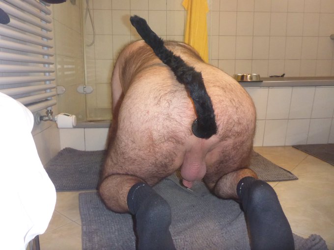 KinkyPantherCub’s pics and videos