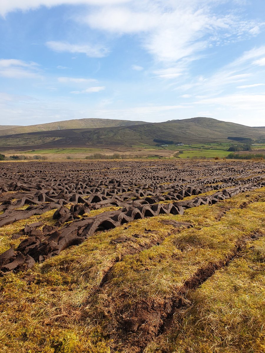 DaireDevine's tweet image. Here we go again!!!! #Turf2k20 #HelpRequired