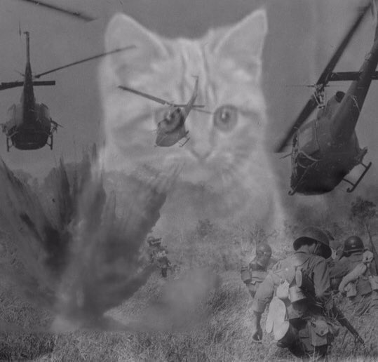 dad98585715's tweet photo. @HandIOfIBlood https://t.co/NhAFhy4Um0