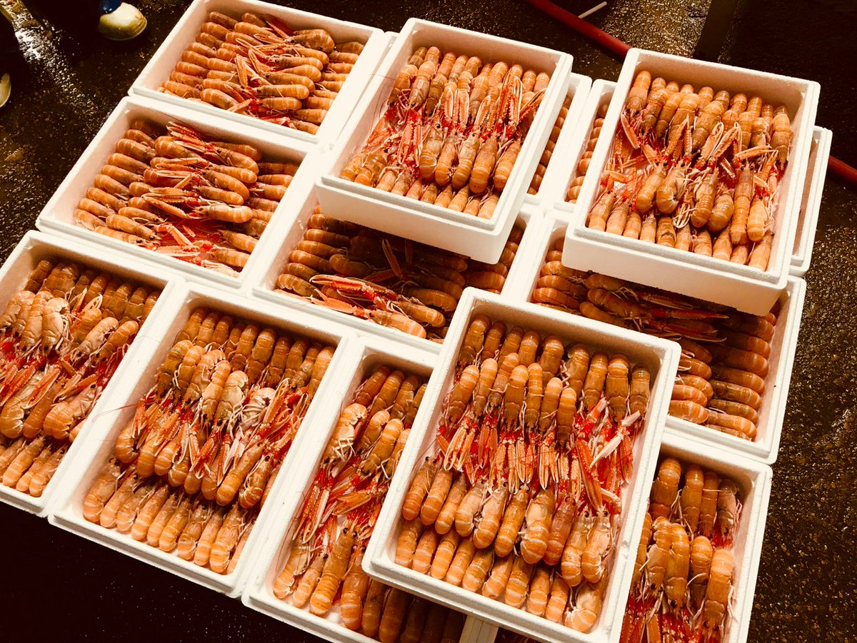 We've been busy cooking the Freshest Langoustines available, the flavour is superb &amp; all caught locally right here off Berwickshire coast.
We're shipping every day  fish &amp; shellfish to families all across the UK
Stay at home, shop with us berwickshellfish.com
PLZ RT this tweet