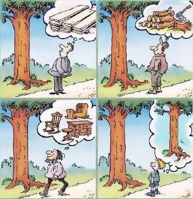 ¿Tú en que piensas cuando ves un árbol? 🌳