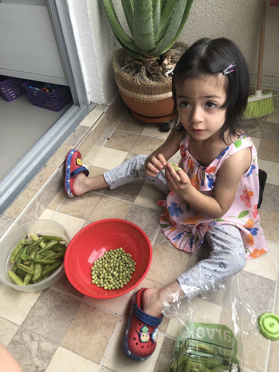 diarcastro's tweet photo. Peeling peas with my daughter! We are almost finishing!😅
#noCodeToday https://t.co/GDBbYAp0rs