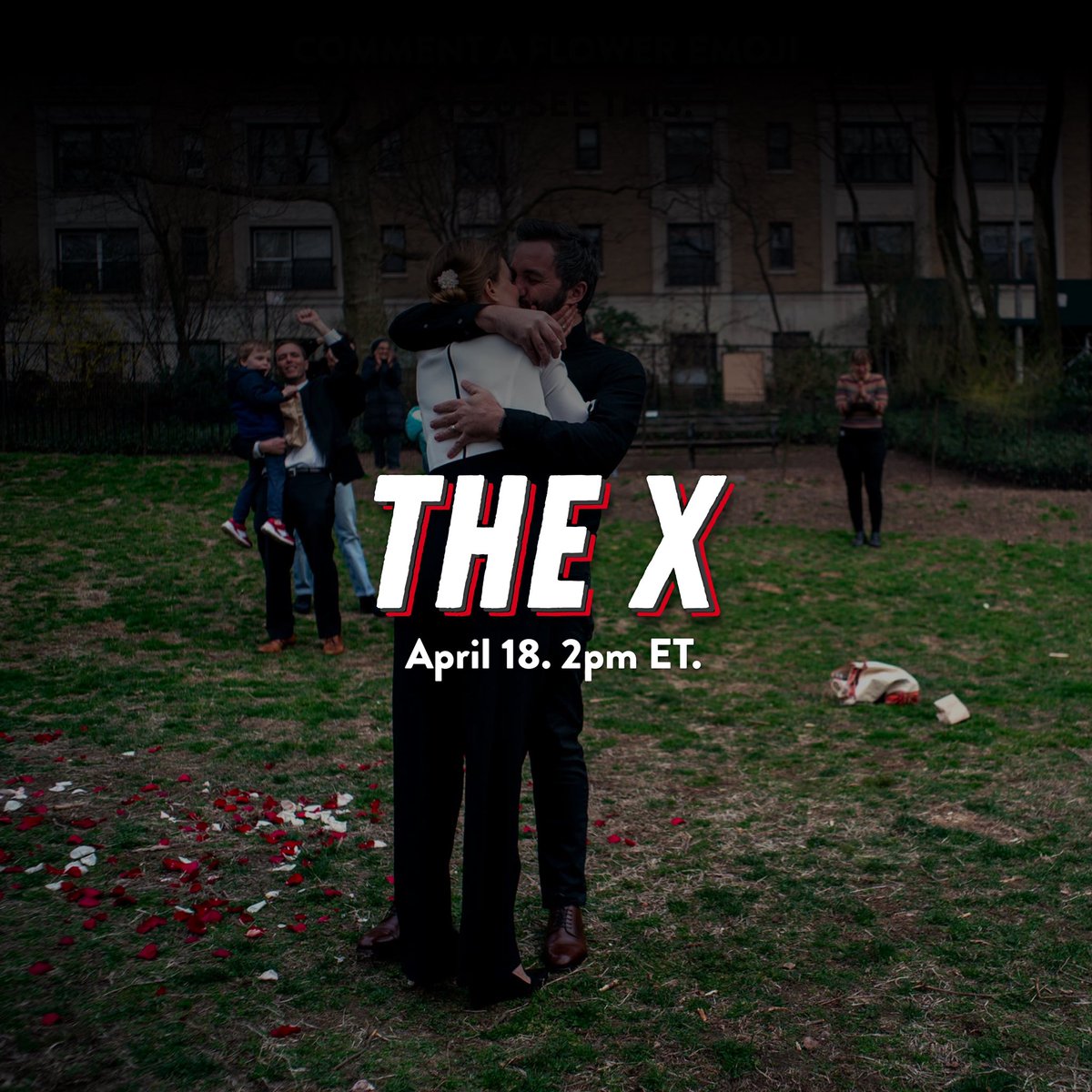 The X tweet media
