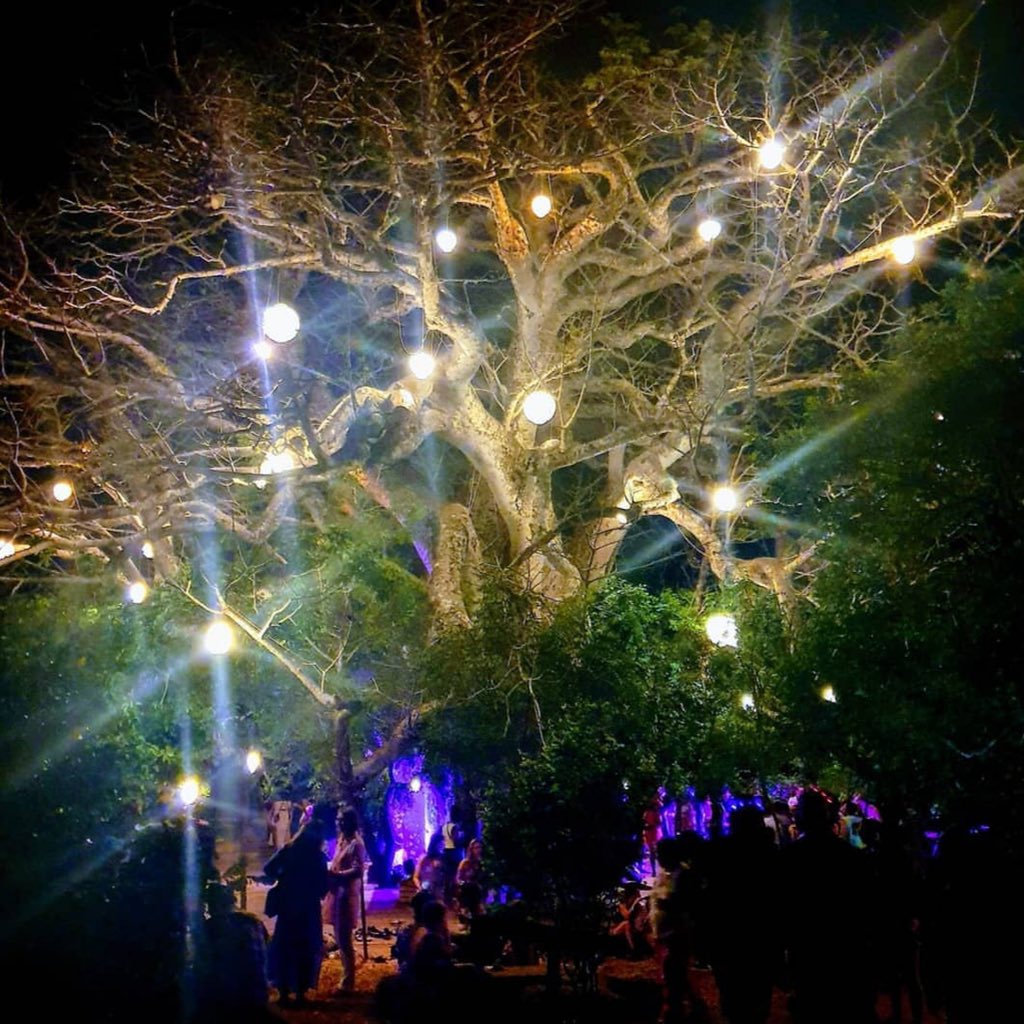 JackeeTweets's tweet photo. @fredwaah N we had pinky sworn I’d tag along for Kilifi this year #TheBaobabTree 🥺🥺 https://t.co/zOli9i9O6g