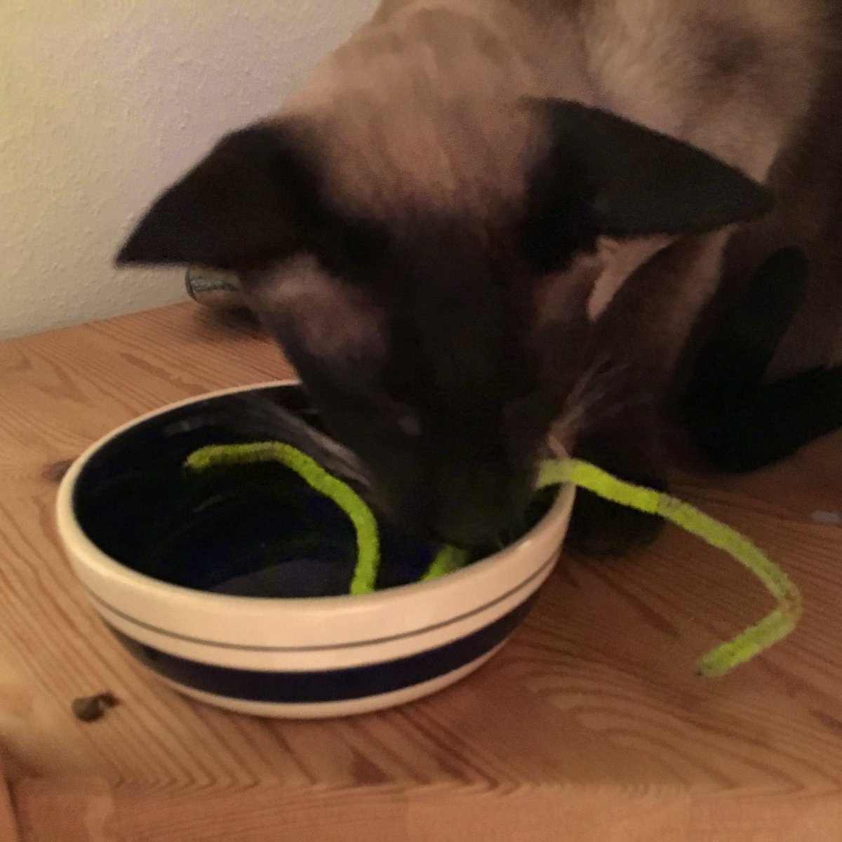 SammyFelino's tweet image. I vote for the red one in today’s #StringLottery and if I win I’ll send you my most loved Pfeifenputzer.