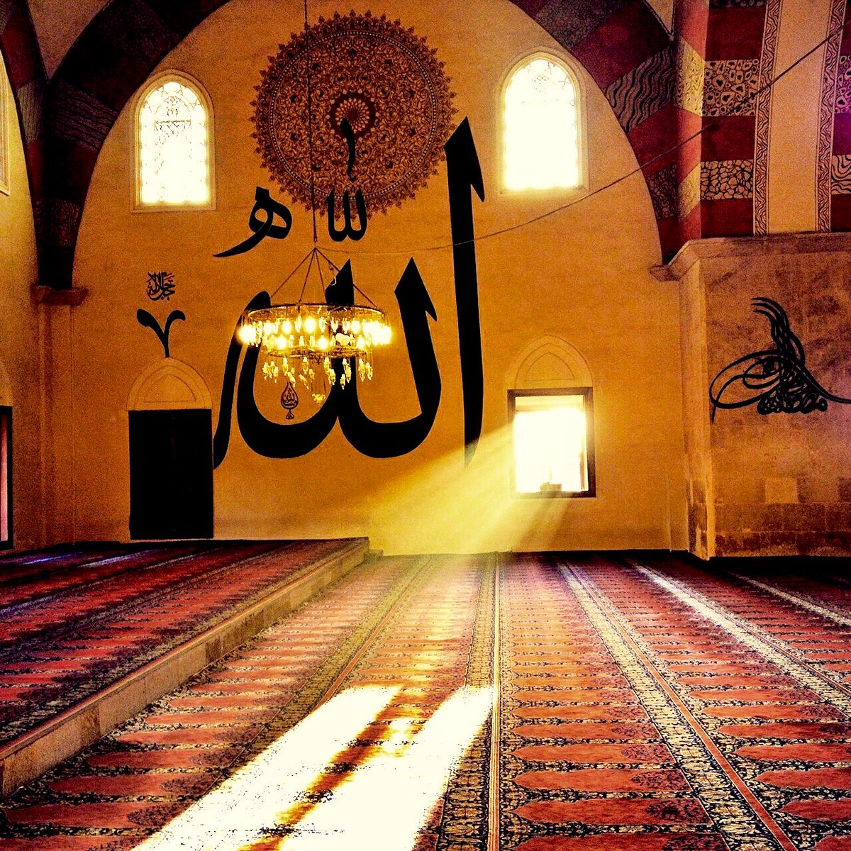 Muslim Culture (@muslimculture) on Twitter photo 