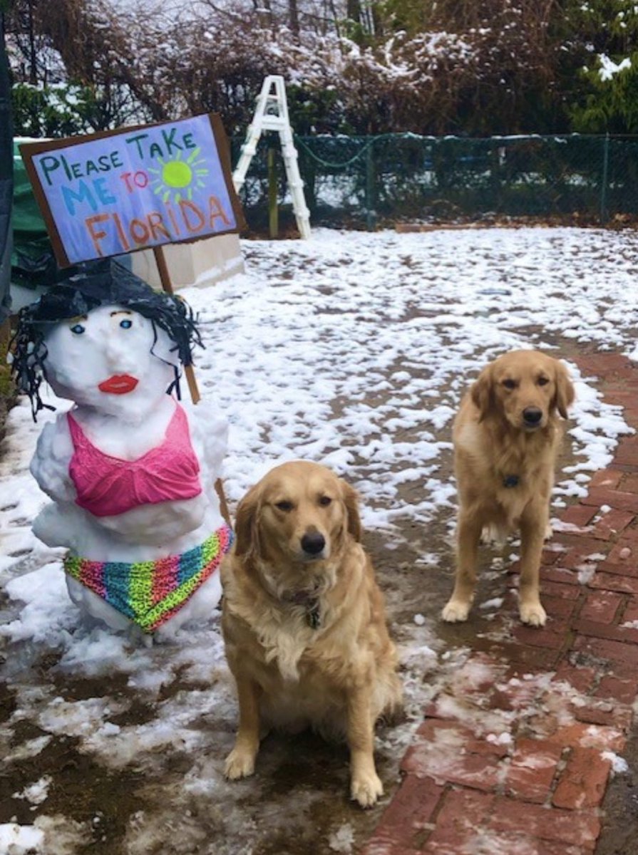 JadaFurlowTV's tweet image. Take me with you!!! #EmmaandBrody #Viewerphoto #Chicopee