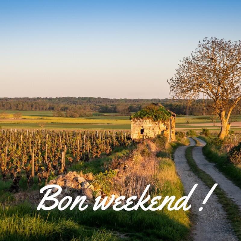 Dom. des Raynières tweet media