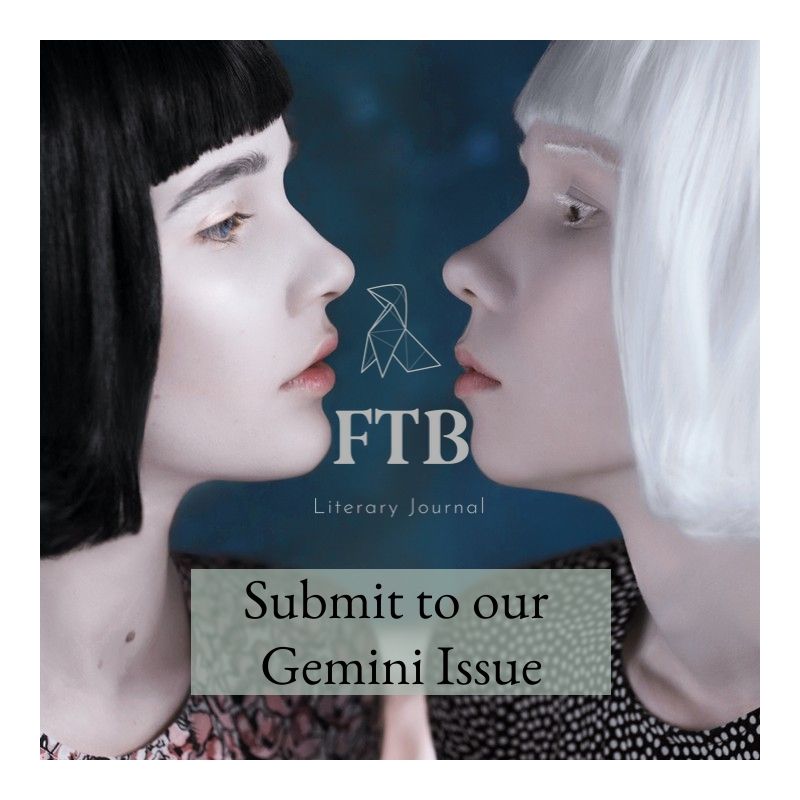 #findingthebirds #literaryjournal is now #acceptingsubmissions for our next issue!  Submit your #fiction & #poetry today! 
#writerscommunity #writersnetwork #WIP #WordPress #Literature #gemini #flashfiction