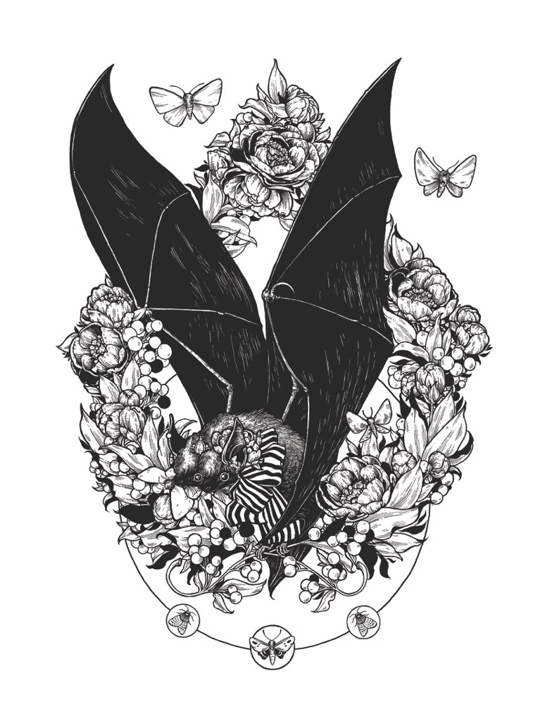 Little late I think but it's ok cause bats are cute every day ?#BatAppreciationDay 