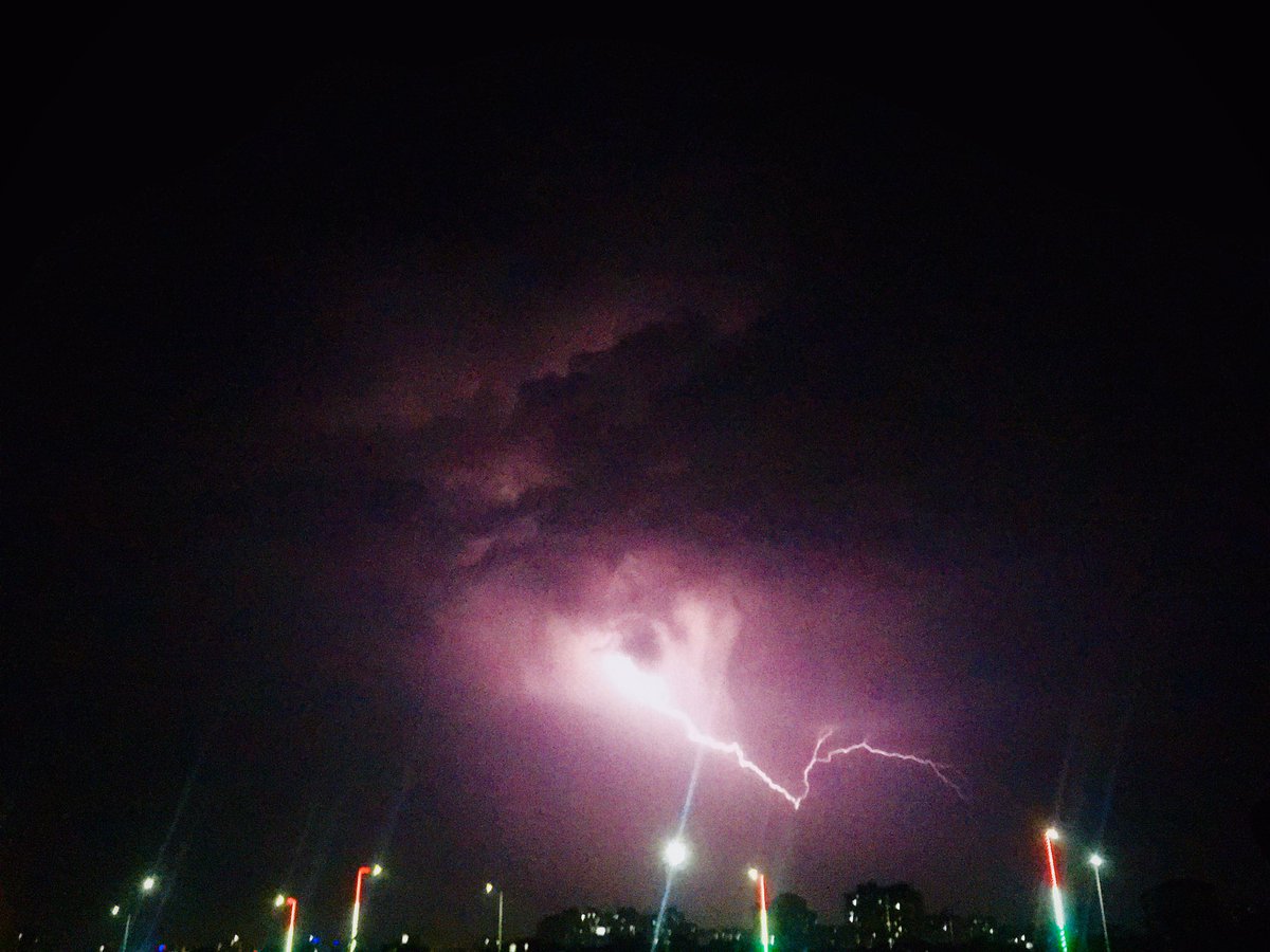 tyson_the_labby's tweet photo. Doomsday https://t.co/eHm3J8fi8N