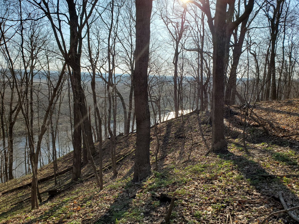 iahuntress's tweet photo. Iowa River bluffs family turkey hunt #iowahunting #getoutdoors #iowariver https://t.co/GpK0GLygh4