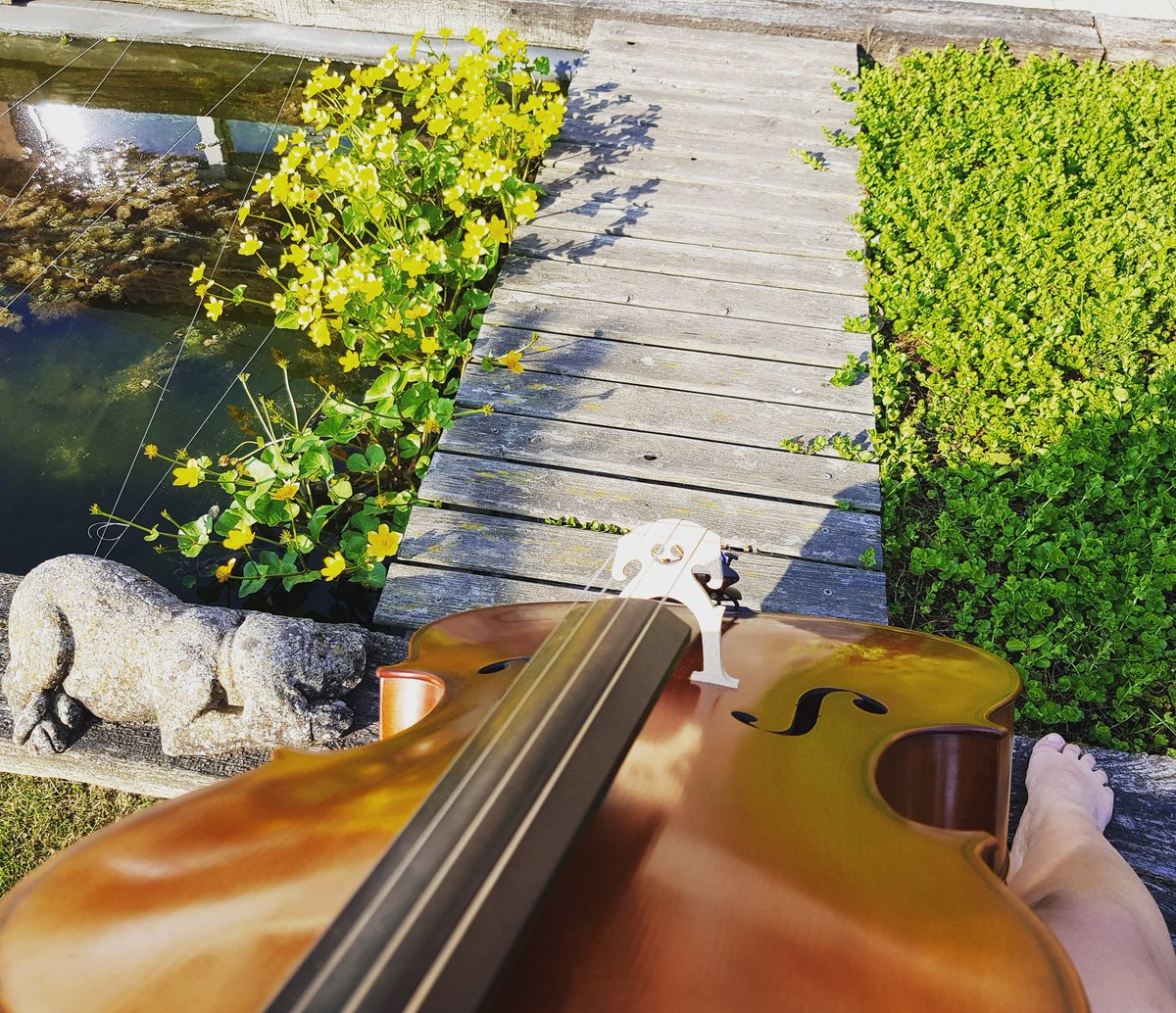 MarionFiedlerTN's tweet photo. Best view right now 😀🙃😁
Music is my best friend, and always has been.
#barefeet #cellolove

Thanks for your support, Thomas @ #hofner #cello #hoefner

I just wrote some new songs!🎵🎶
#newsongs #songstress #hofnerguitar
Come listen today if you like ! 
https://t.co/E5Mb39t3qi https://t.co/rKq6Vid2qW