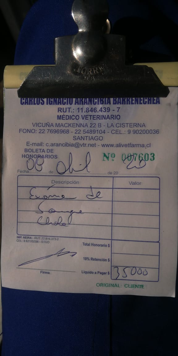 FundacionFscc's tweet photo. Ya solo nos estan faltando $10.000 para cancelar el examen de la cholita se abonaron $25.000, 10 personas que quieran donar $1.000 pesitos. https://t.co/pCUCTG18JC