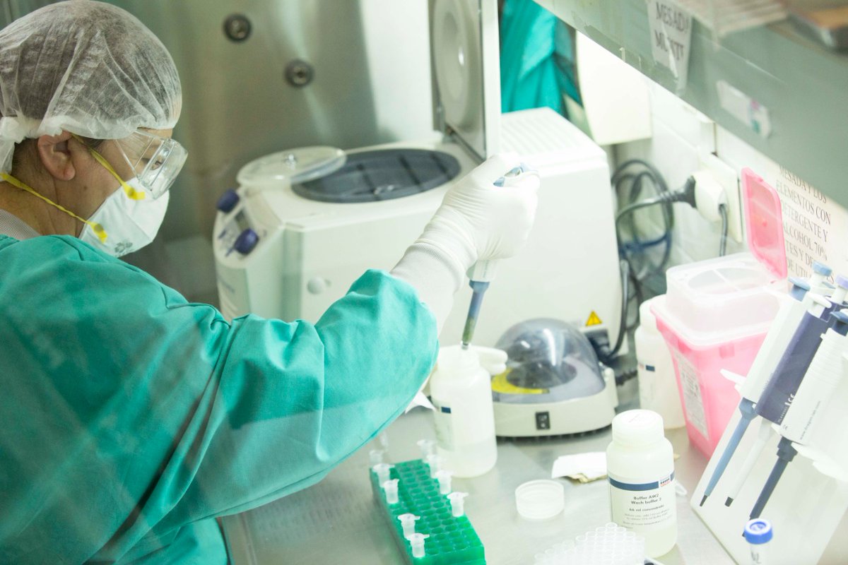 rionegrogob's tweet photo. #Coronavirus | Siete laboratoristas rionegrinos de hospitales públicos, tienen la enorme tarea de enfrentarse diariamente al COVID-19. Queremos agradecer y destacar su trabajo, porque en sus manos están los testeos de todos los casos sospechosos de nuestra provincia. https://t.co/l775m0zDWz