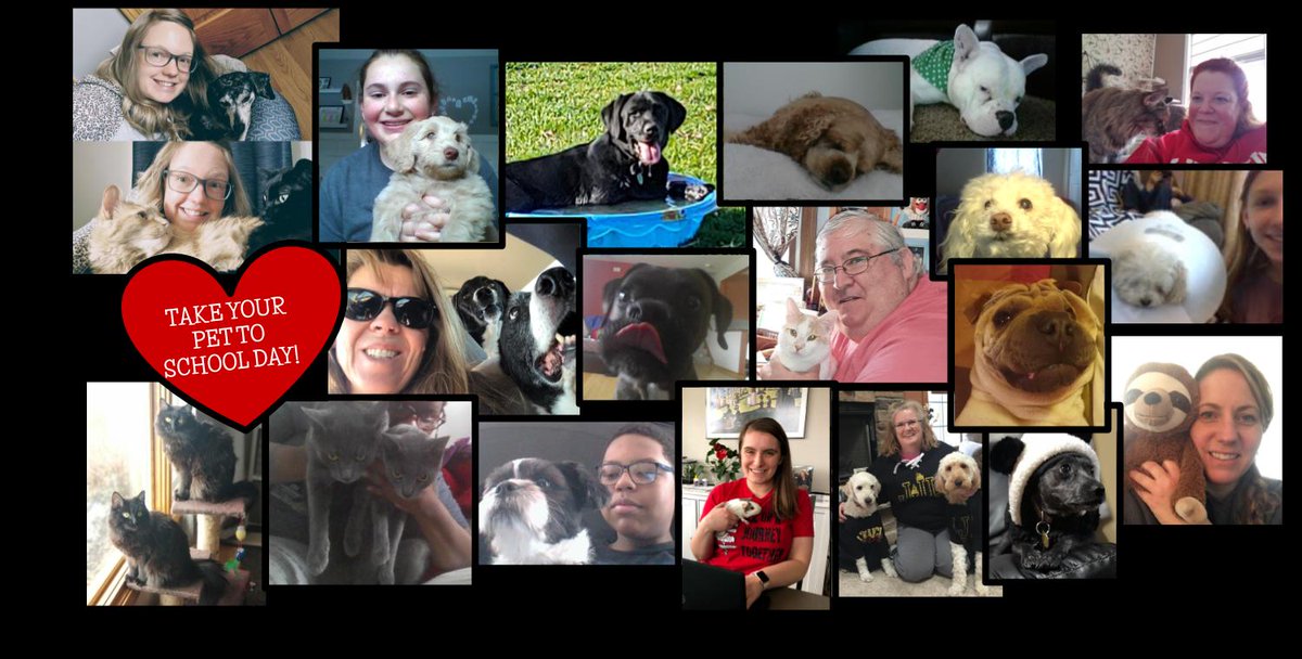 We ended <a href="/JJLFlames/">John J. Lukancic MS</a> Virtual Spirit week with take your pet to school day!  Being home with our pets makes us happy!  
#VVSDProud    #KEEPlearning     #FLAMEtastic