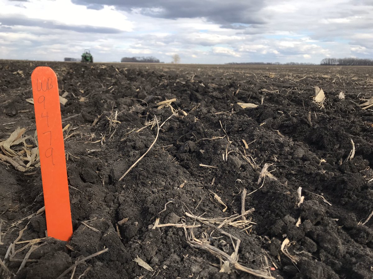 GrantMehring's tweet photo. Well my weather retweets will become less frequent until fall, and until then it’s back to regular programming of variety work at WestBred. 

First on-farm trial of the year is a smaller strip trial working with @MarkBredehoeft.

Data for Southern MN wheat farmers on its way! https://t.co/XIecBorlBC