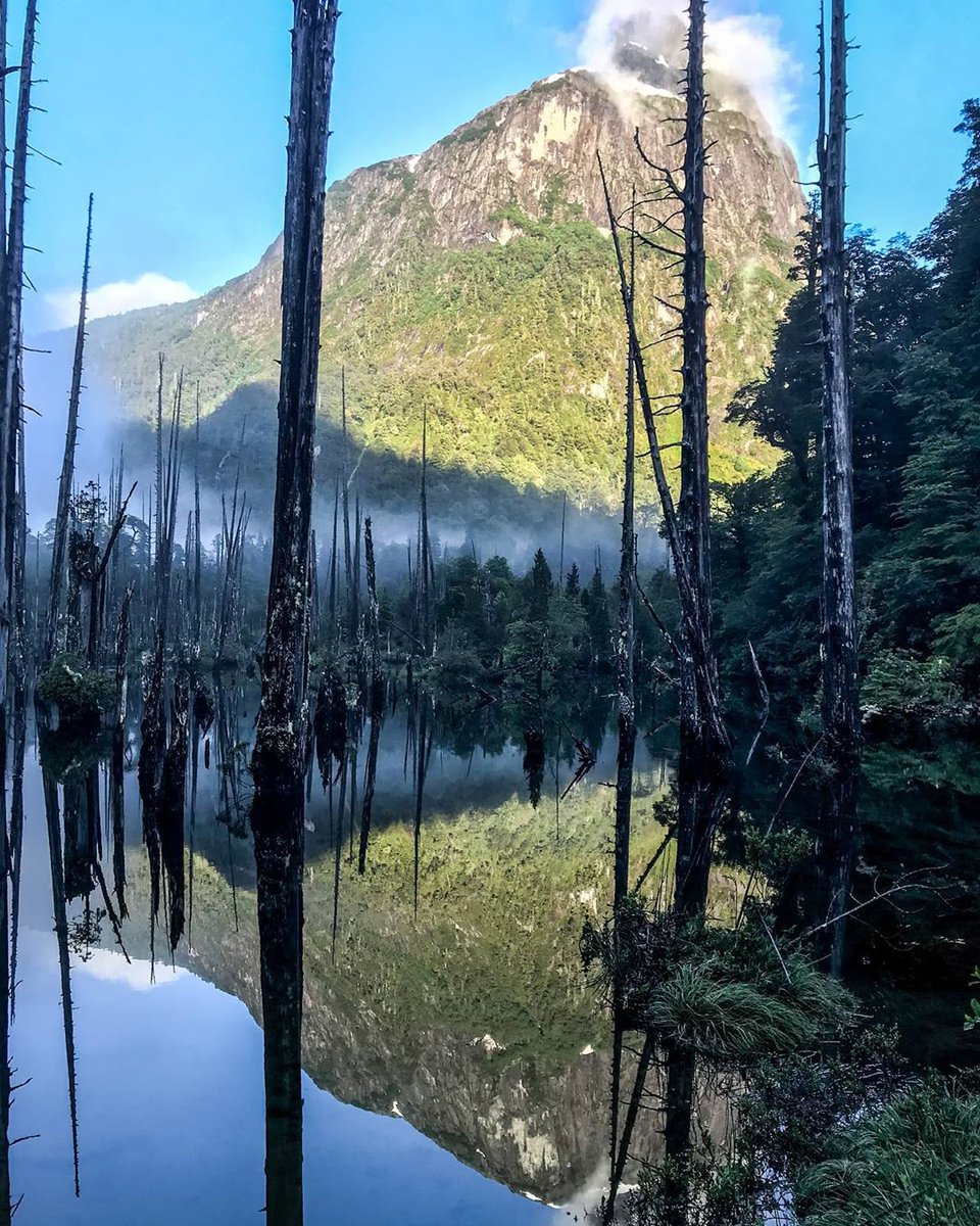 ChileFoto's tweet photo. Parque Tagua Tagua - Cuenca del Río Puelo - Comuna de Cochamo - X Región.

Fotos: Rodrigo Viveros https://t.co/R5tXAFlNlX