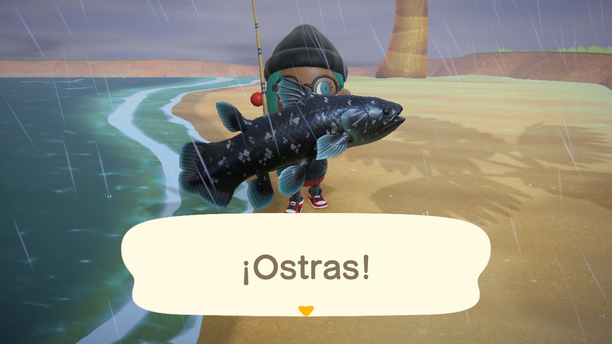 ManuuGoomez's tweet photo. De pesca en el hemisferiosur sur con @SMPG6 y de paseo por el museo con #morania .. Me meo con ellas!  #AnimalCrossing #ACNH #NintendoSwitch https://t.co/SMJjbnzgPX