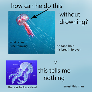 Memes about the ocean are my new obsession
